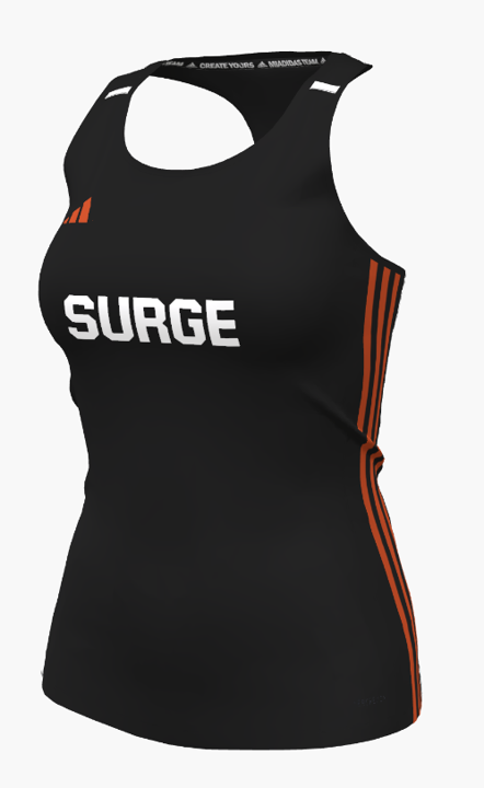 SURGE TANKS