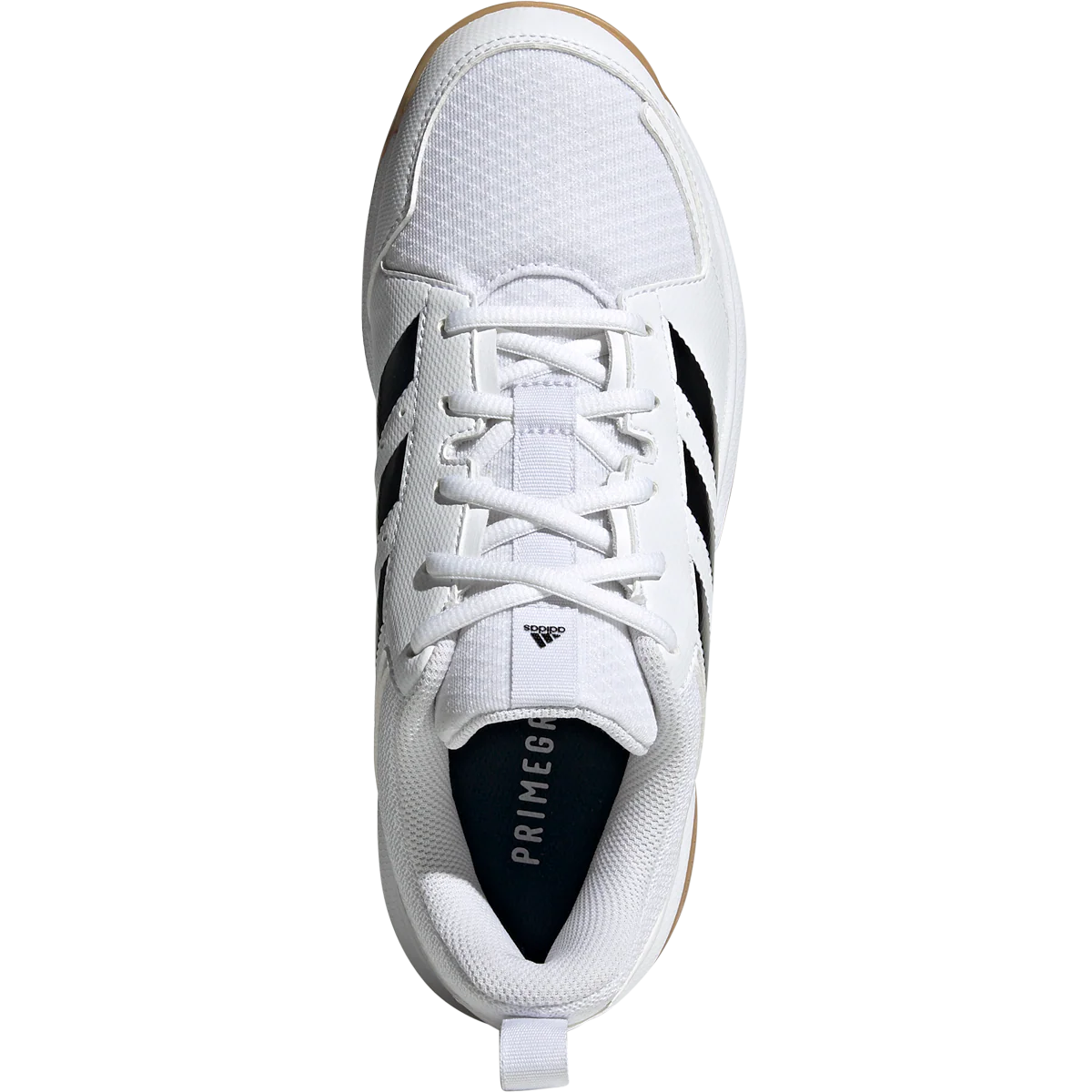 2023 Ligra 7 W Indoor Shoe