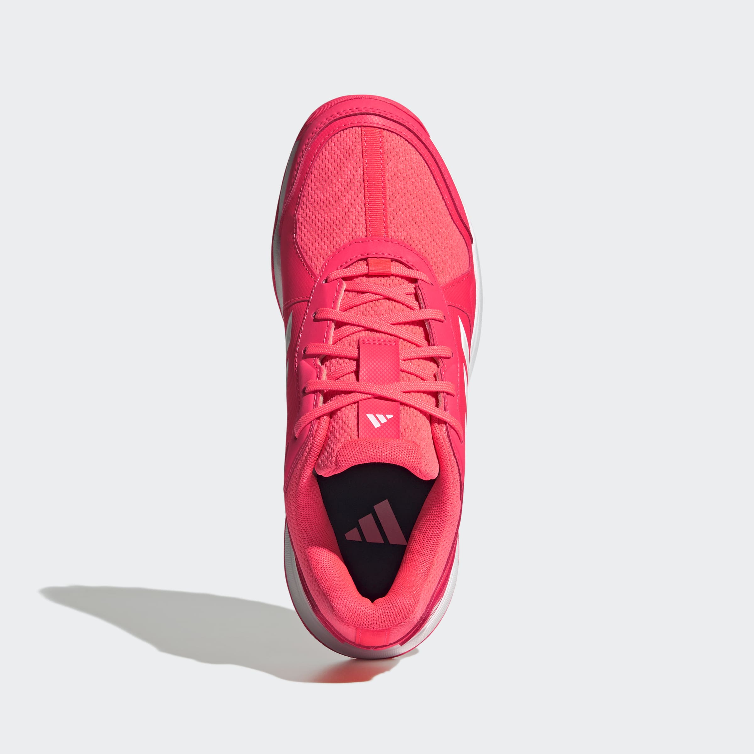 2026 Fabela Rise 2 Pink