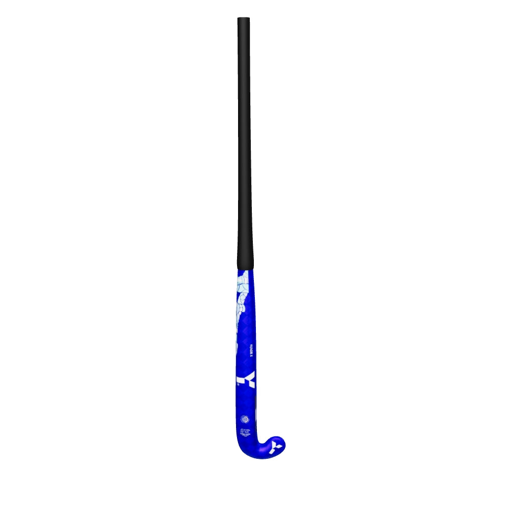2024 Y1 ADB X