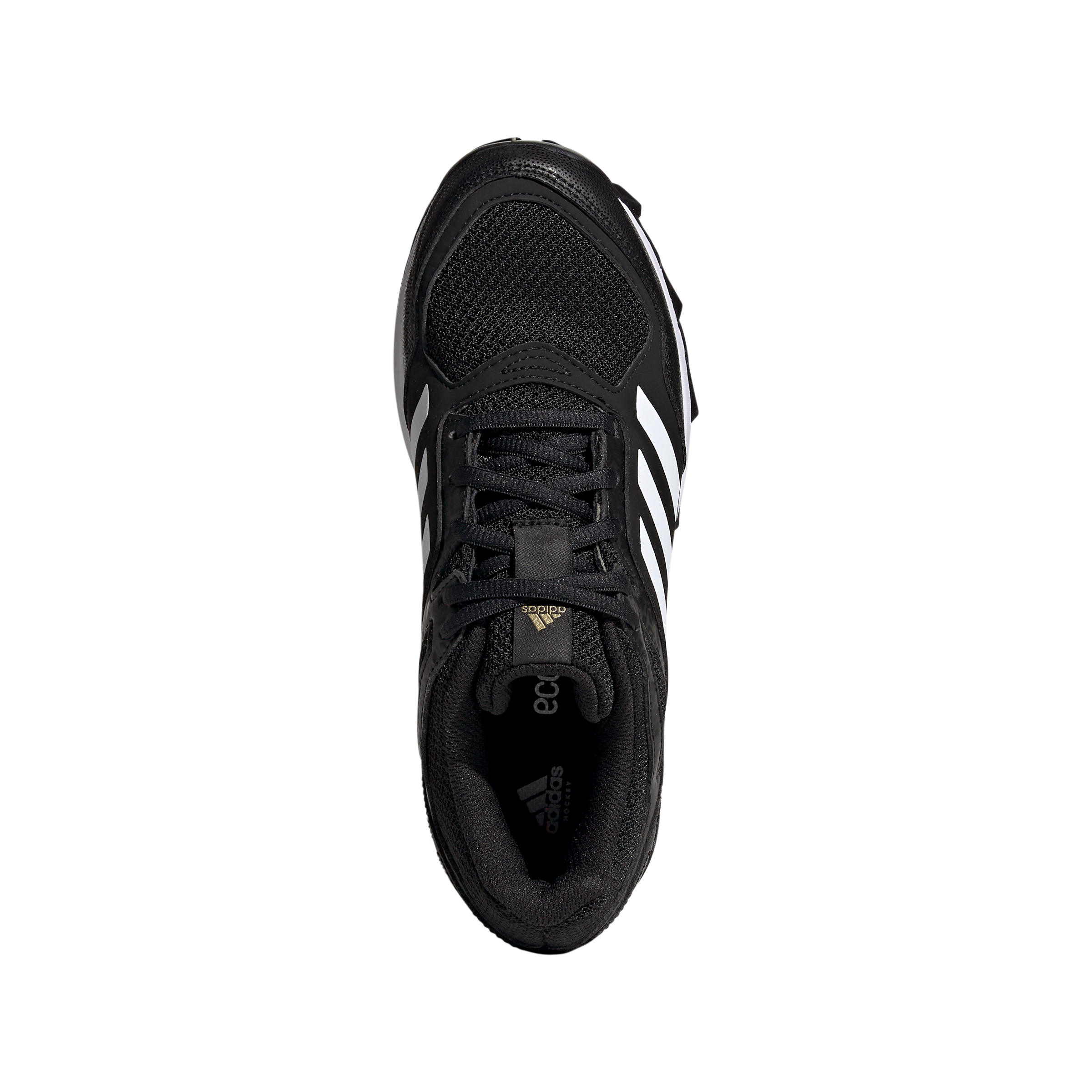 2023 Fabela Rise - Black
